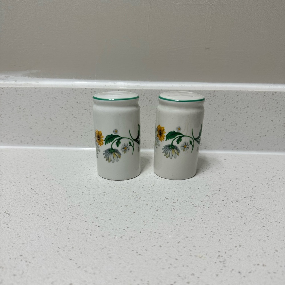Salt and Pepper Shakers